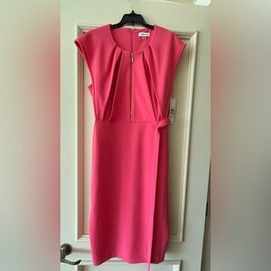 Calvin Klein pink chic dress
(Zipper in front and back).
Size 14